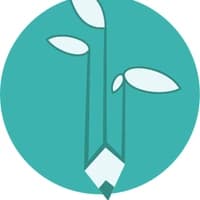 TSF organization logo